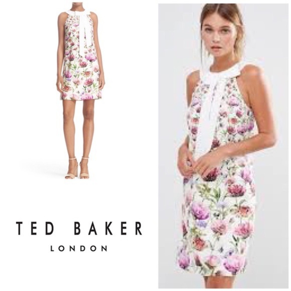 Ted Baker Lucilee Mini Dress/ Size 4